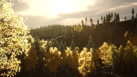 Sunrise-in-Autumn-Forest